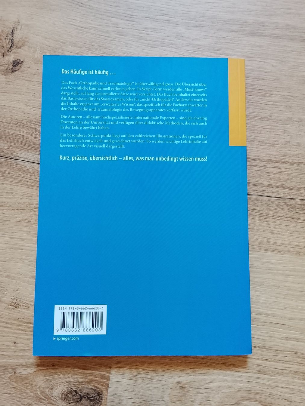 Libri: Lehrbuch Orthopädie – Usato da Marbach LU venduto da Dominik1992 1