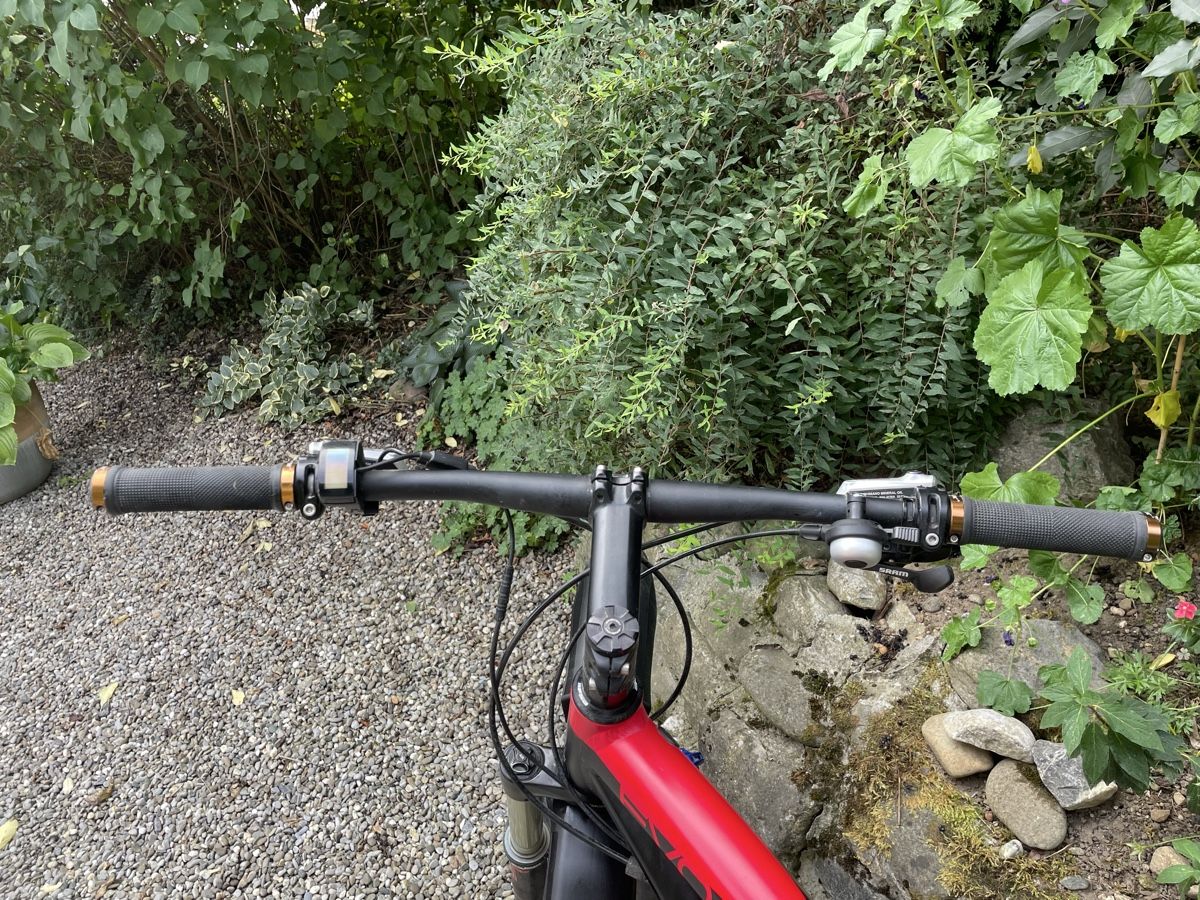 Biciclette: E-Mountainbike  – Usato da Romanshorn venduto da fsauer 4