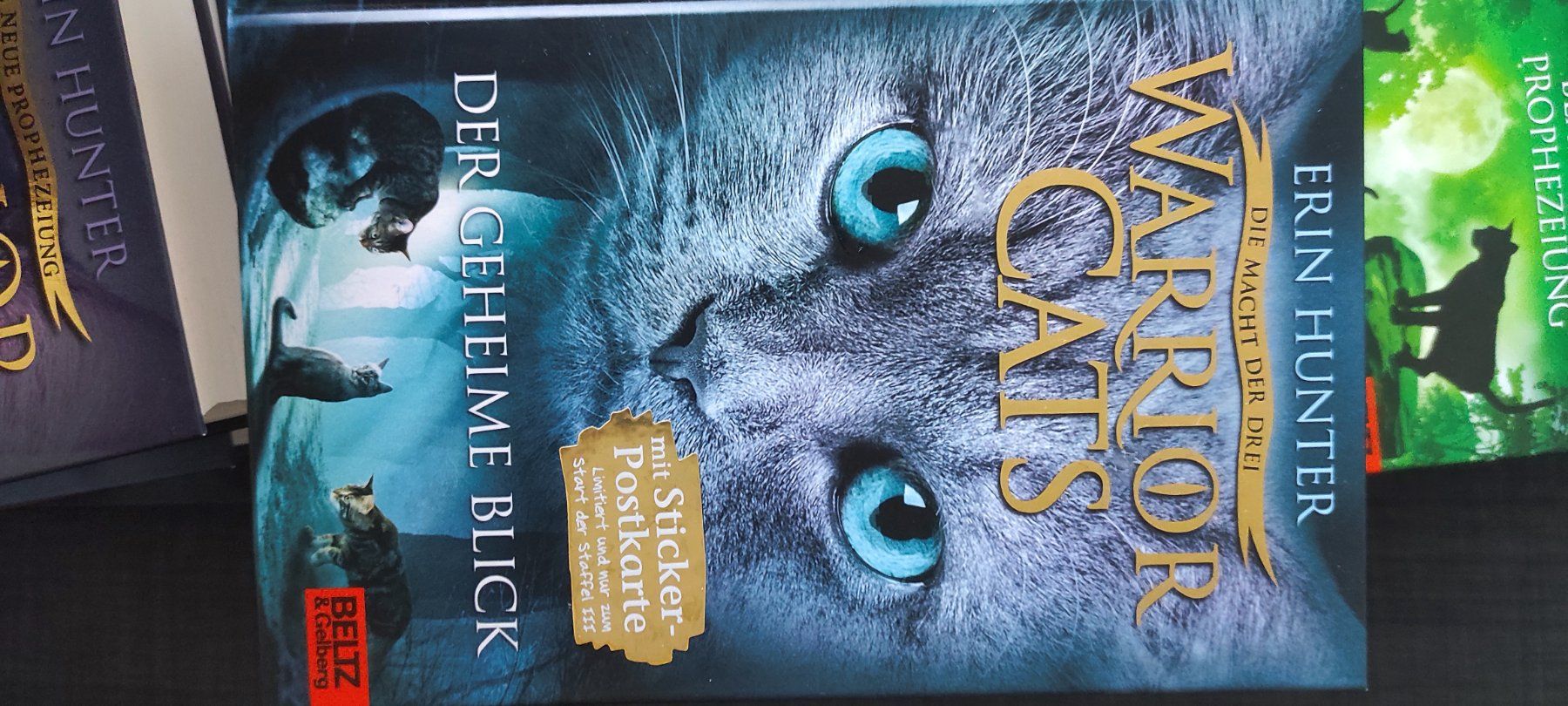 Libri: Warrior Cats, Staffel 3, 6 Bücher – Usato da Bassersdorf venduto da lar_9p6m 5