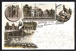 Litho Basel, Zoologischer Garten, Elepha