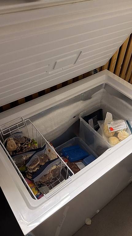 Congelatori: Gefriertruhe – Usato da Bottenwil venduto da NadjaP. 2