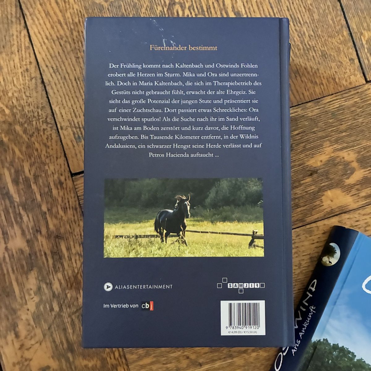 Libri: Ostwind 6 Bände – Usato da Winterthur venduto da bunteperlen 2