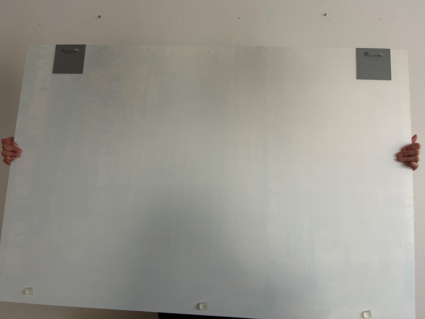 Poster & Bilder: Acryl-Birkenfoto – Gebraucht aus Binz von plb71 1