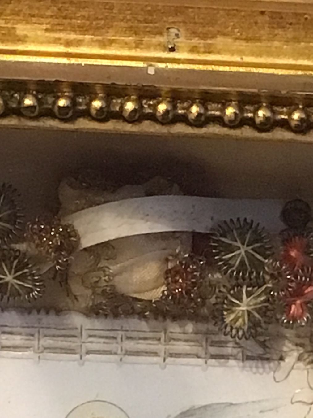 Foto & Immagini: Klosterarbeit Antikes Reliquien Bild – Usato da St. Gallen venduto da Goldlilly 3