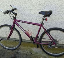 Raleigh SL 4 Velo Lila – Perfekt für Frühlingsausflüge!