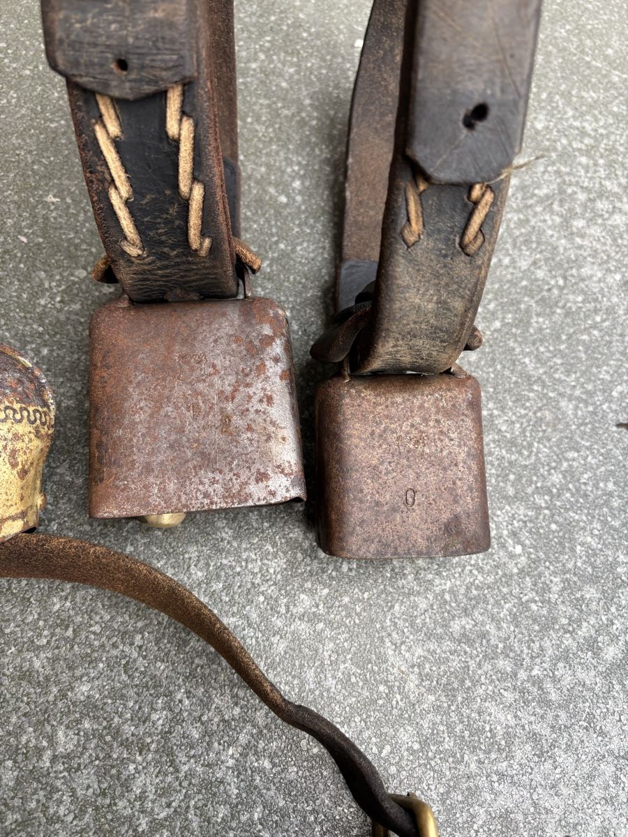 Campanacci mucche: 8 Schaftreicheli – Usato da Schangnau venduto da Roseggli82 6