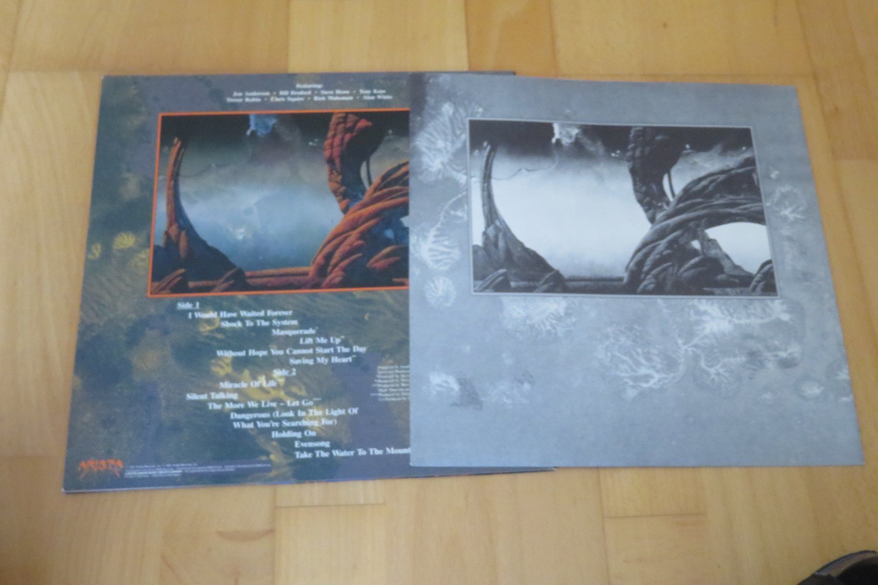 Dischi in vinile: Yes – Union – Usato da Thun venduto da Karibu70 2