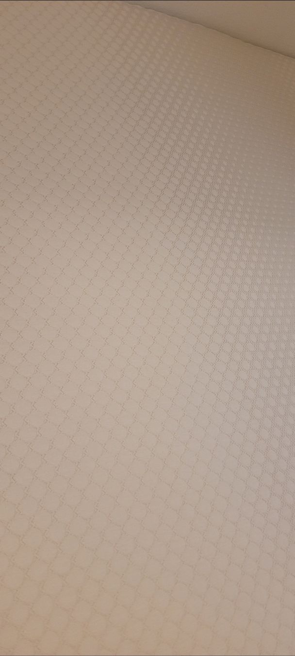 Materassi: Topper Matratzentopper 160x200 – Nuovo (secondo la descrizione) da Emmenbrücke venduto da gatasalvache