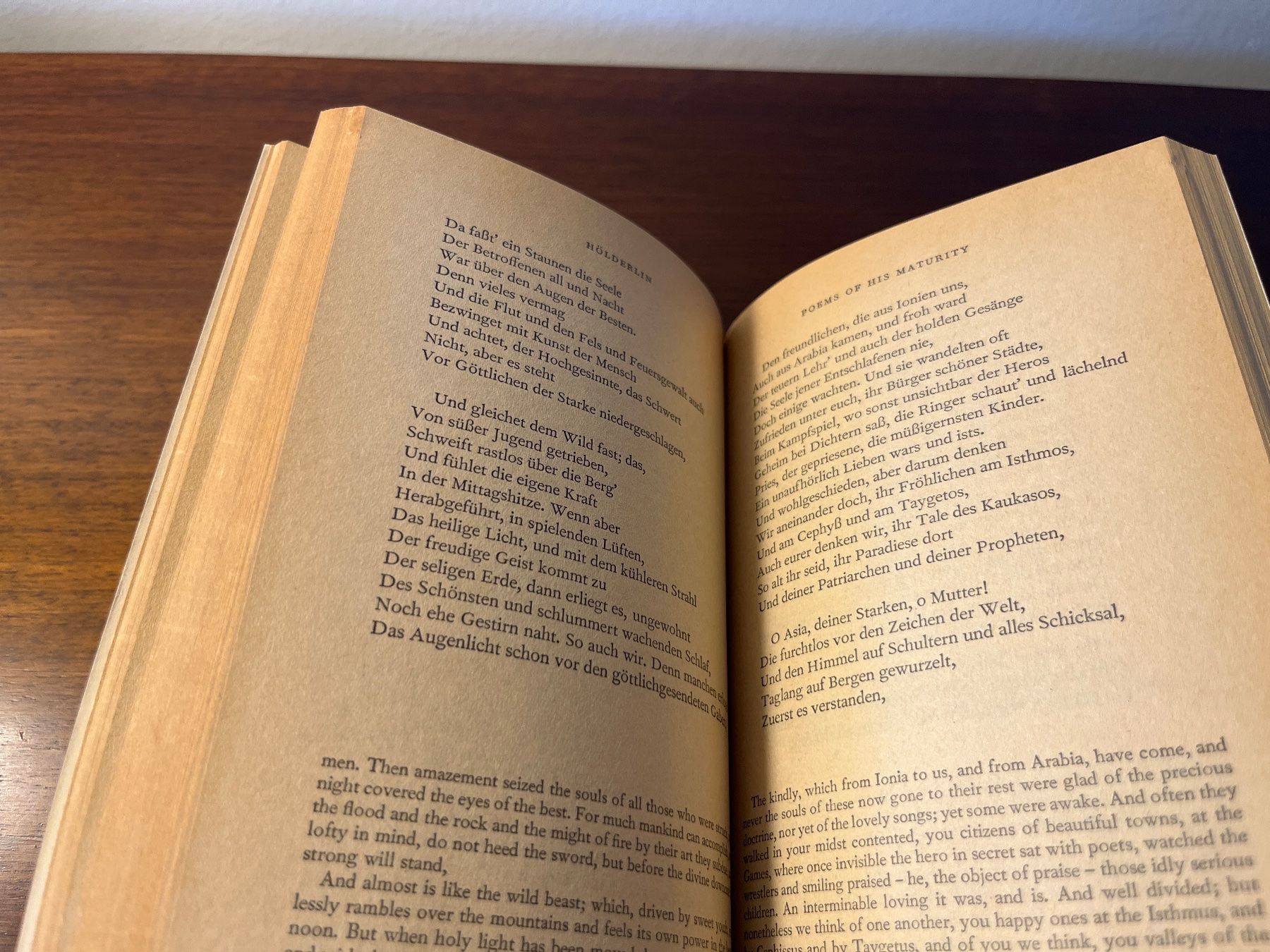 Libri: Buch - Hölderlin, Selected Verse, Poesie – Usato da Luzern venduto da Jiggy_8898 8