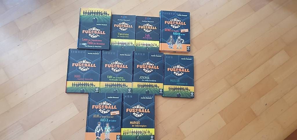 Livres: Wilde Kerle 1-13 + 2 Exteabände – D'occasion à Uitikon Waldegg par sgrimmer