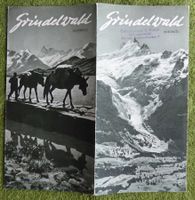 Grindelwald. Faltprospekt