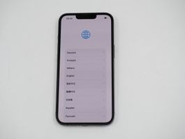 APPLE iPhone 13 Pro iCloud gesperrt (26100601)
