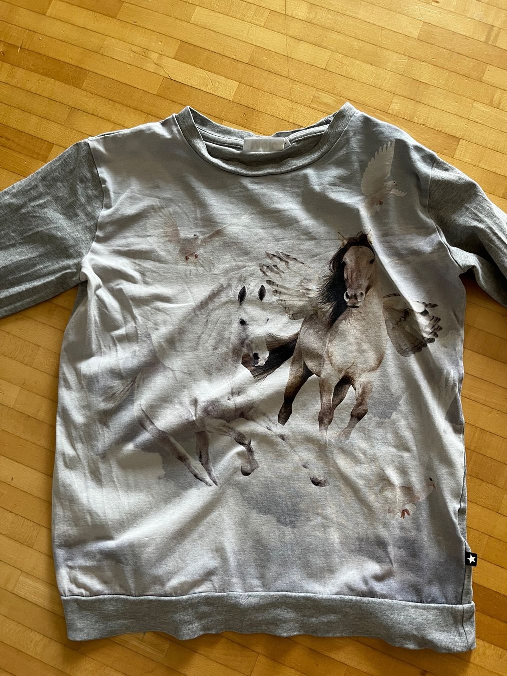 Molo Pulls et sweat-shirts: Molo Langarmshirt 152 Pferd/Pegasus – D'occasion à Horgen par Hoppelhase11 1