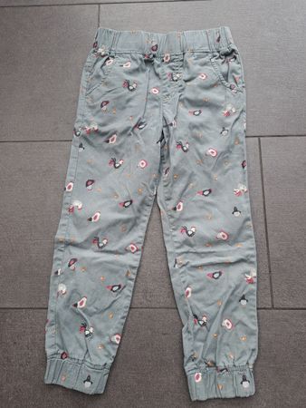 Hose, Gr.110/116