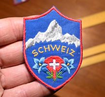 VINTAG Badge SCHWEIZ Berg - Krone ST.GALLER STICK