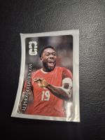 Cola Panini Alphonso Davies