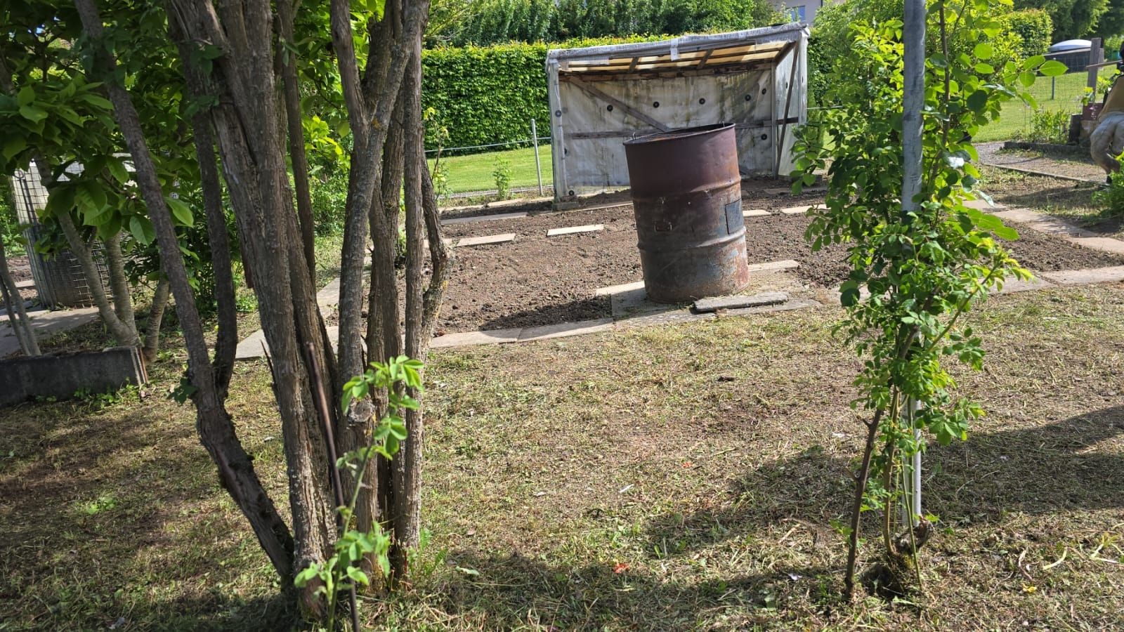 Griglie: Garten Abgabe  – Usato da Bonstetten venduto da giusimaus 1