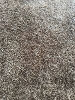 Teppich Shaggy Star 160x230cm grau-beige neu