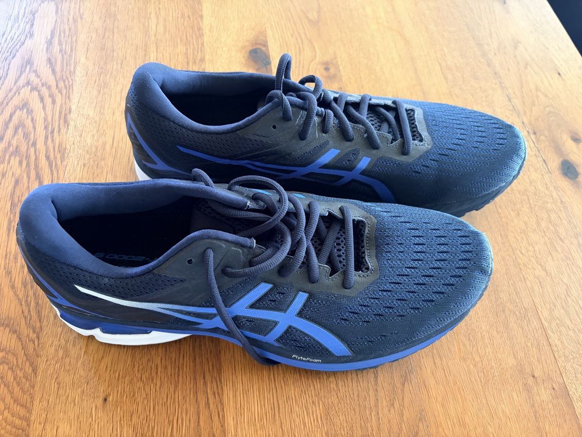 Asics Scarpe da uomo: Asics Laufschuhe GT 2000 9 Gr. 45 Neu – Nuovo (secondo la descrizione) da Maschwanden venduto da abclf