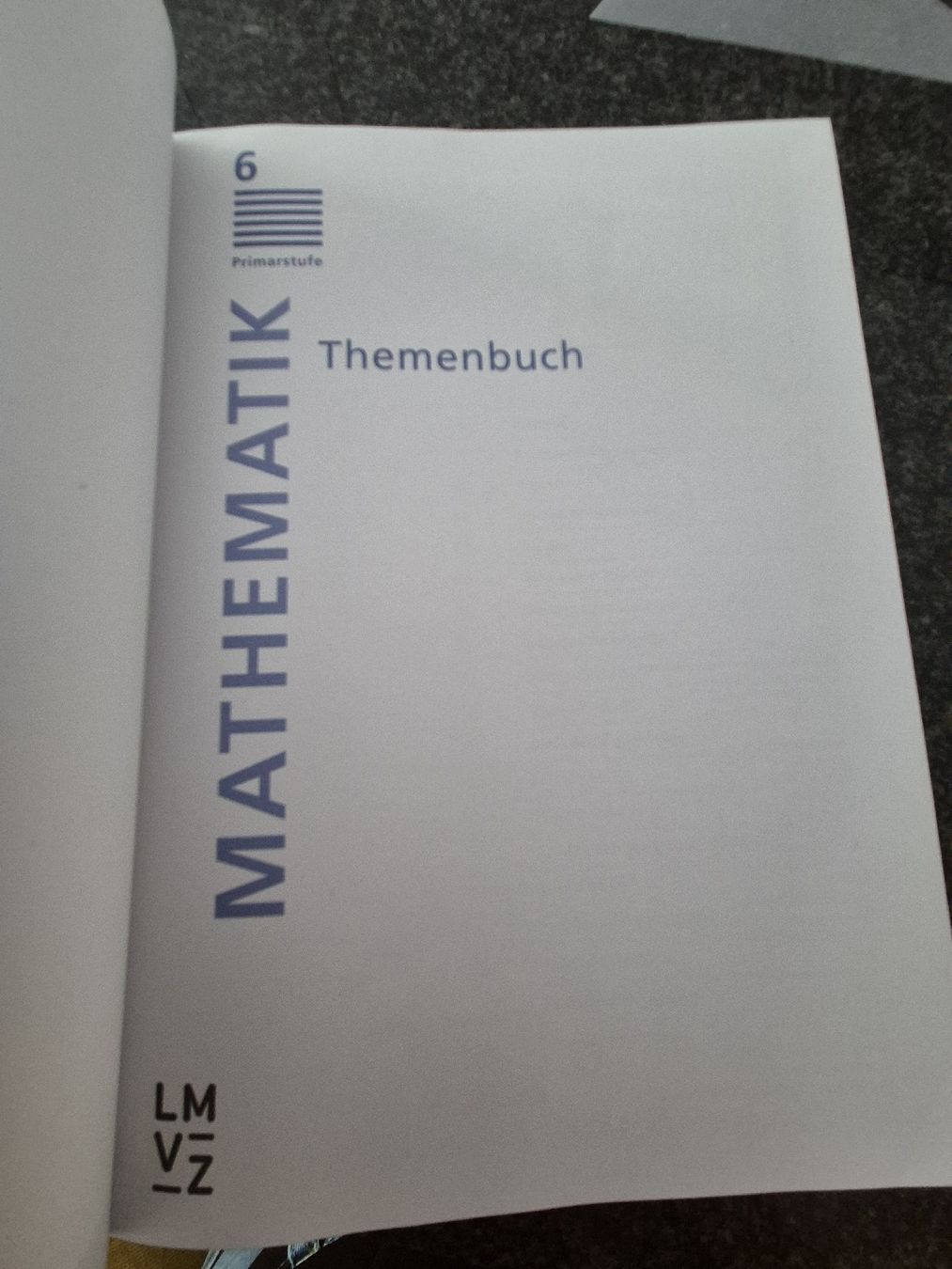 Libri: Themenbuch Mathematik 6 – Usato da St. Gallen venduto da wutschup 4