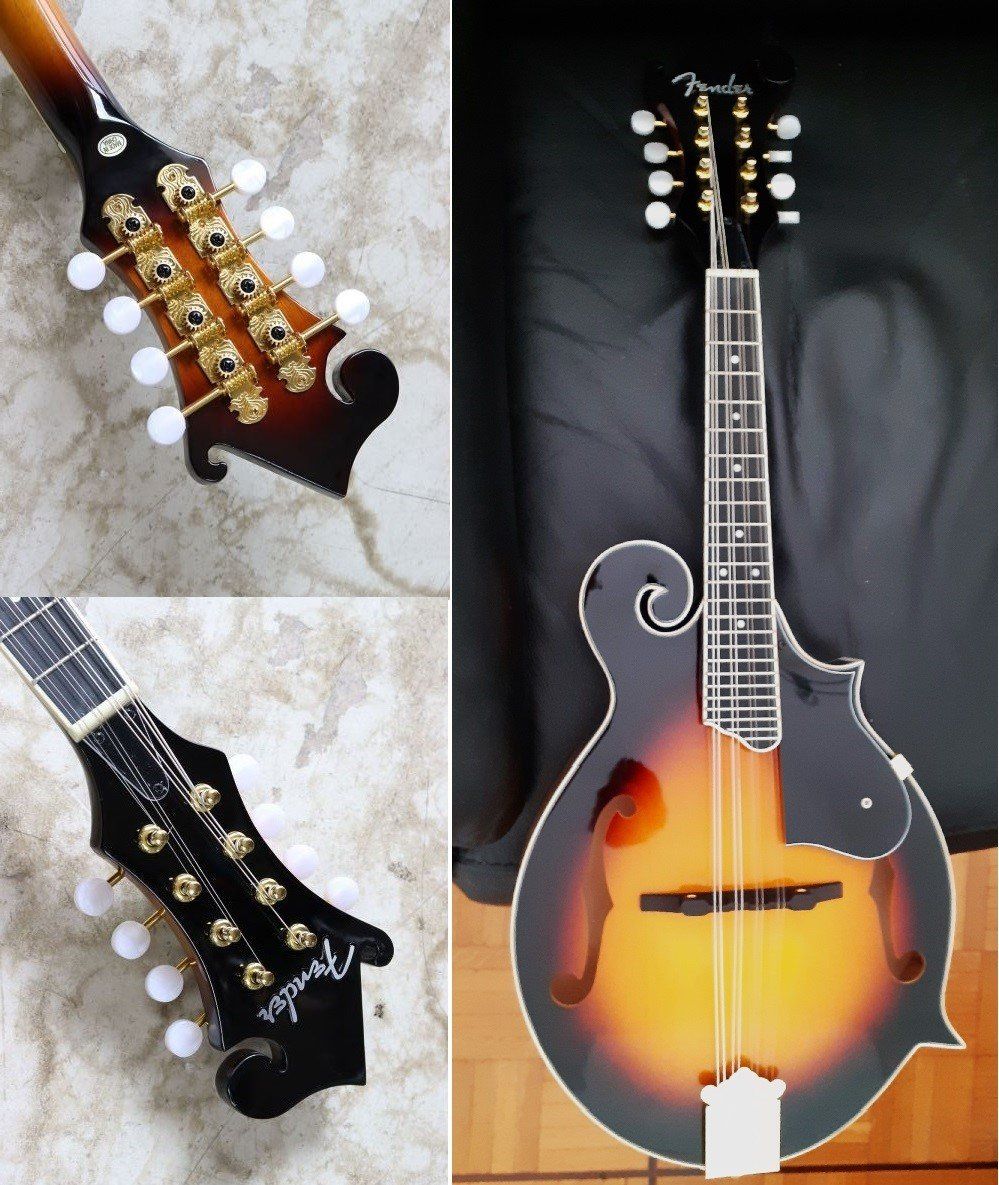 Fender Strumenti musicali: FENDER Mandoline F  TOP Bellissimo – Usato da Locarno venduto da Antonio41