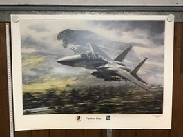 Panther One Bild F15 Kampfflugzeug USA Armee Bild gross