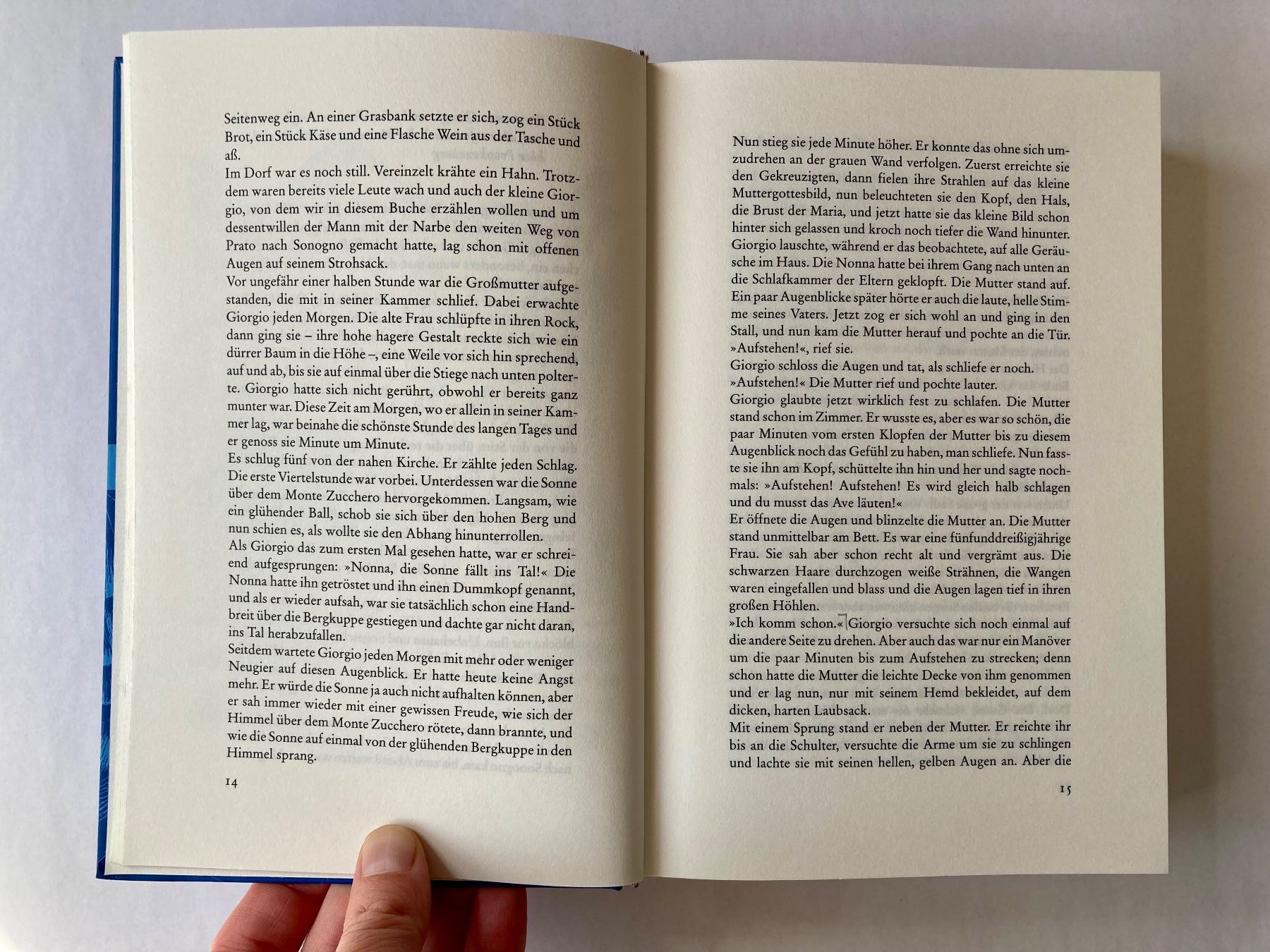 Libri: Lisa Tetzner - Die Schwarzen Brüder – Usato da Bubendorf venduto da Alpenheidi 8