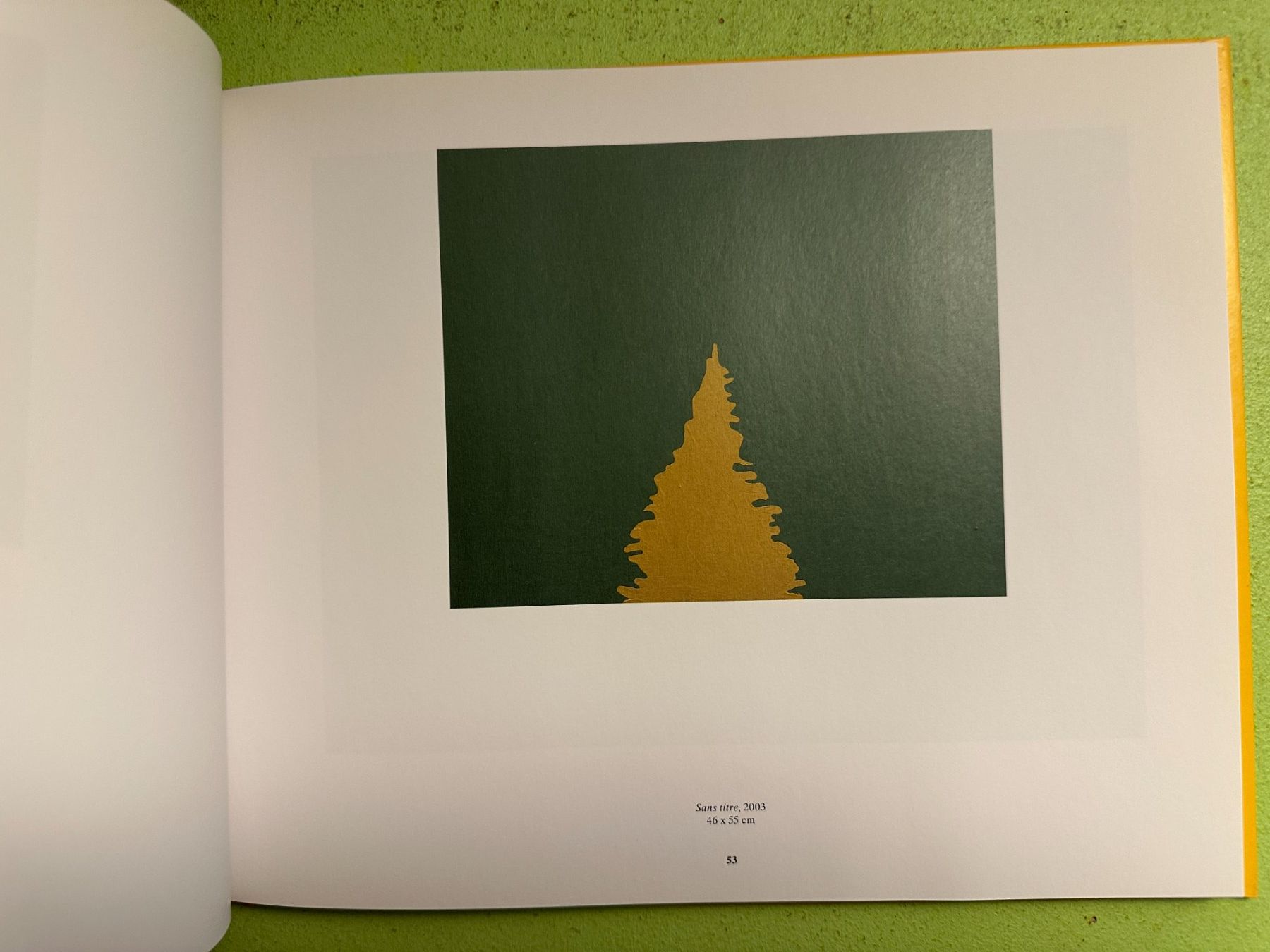 Libri: Sylvie Fanchon. Texte: Vincent Pécoil. – Usato da Zürich venduto da allp 5