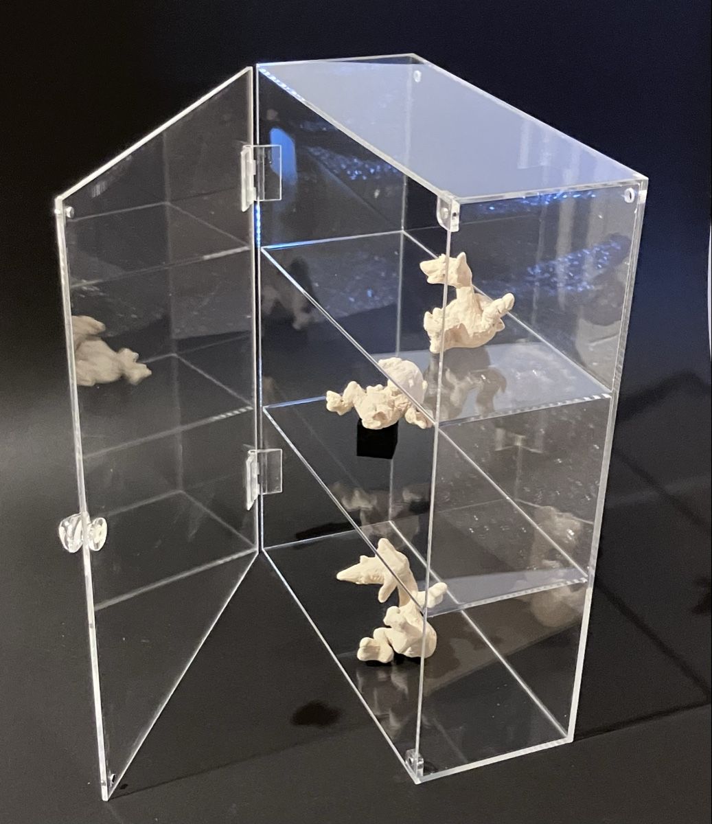 Vetrine: Neue Acrylvitrine (feiner 1cm Kratzer in Front) – Nuovo e nell'imballaggio originale da Bremgarten AG venduto da merlindimi 2