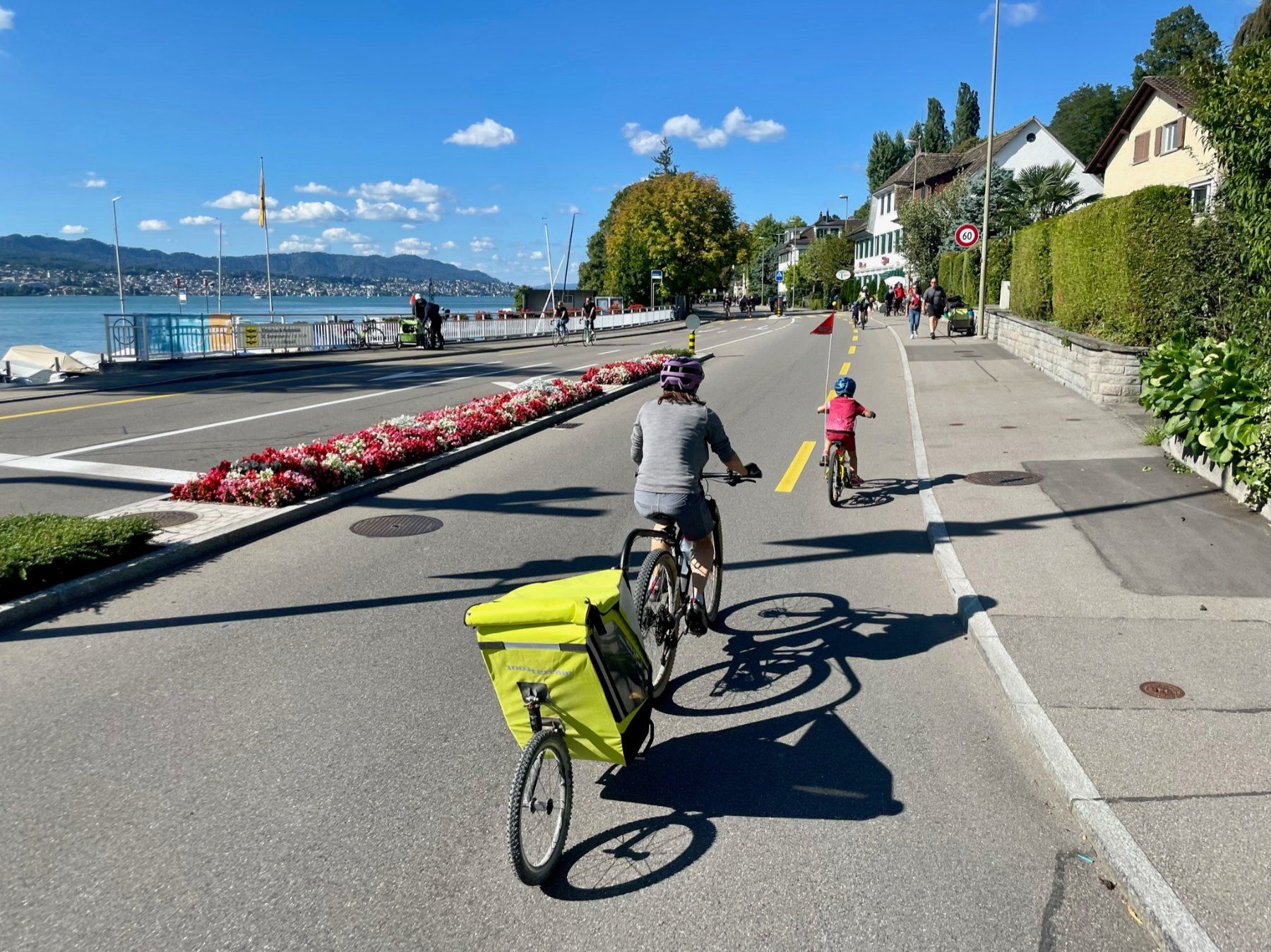 Tout Terrain Rimorchi: Tout Terrain Singletrailer Kinderanhänger – Usato da Oberrieden venduto da cbahler 3