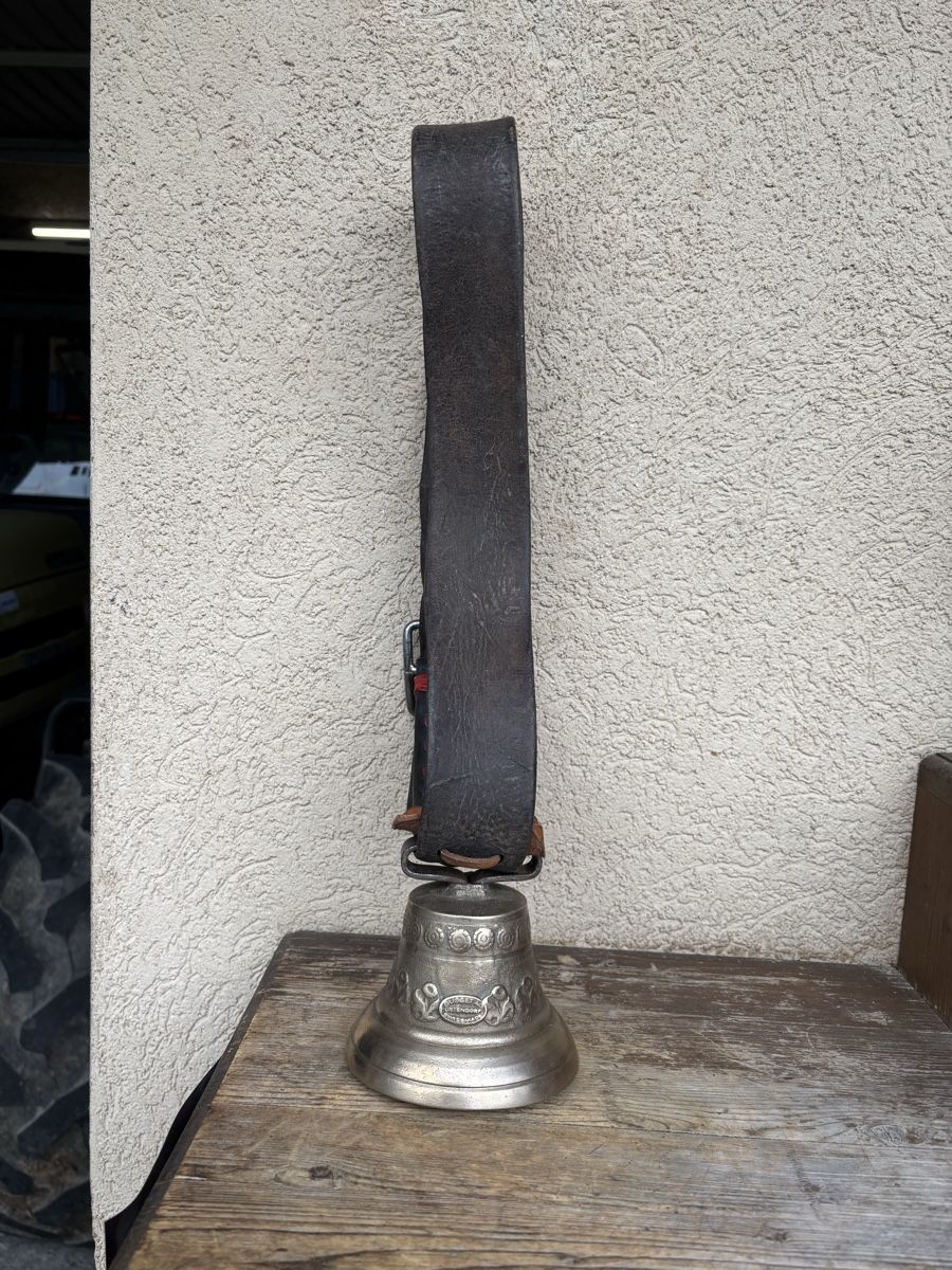 Campanacci mucche: Rinderglöggli – Usato da Schangnau venduto da Roseggli82 5