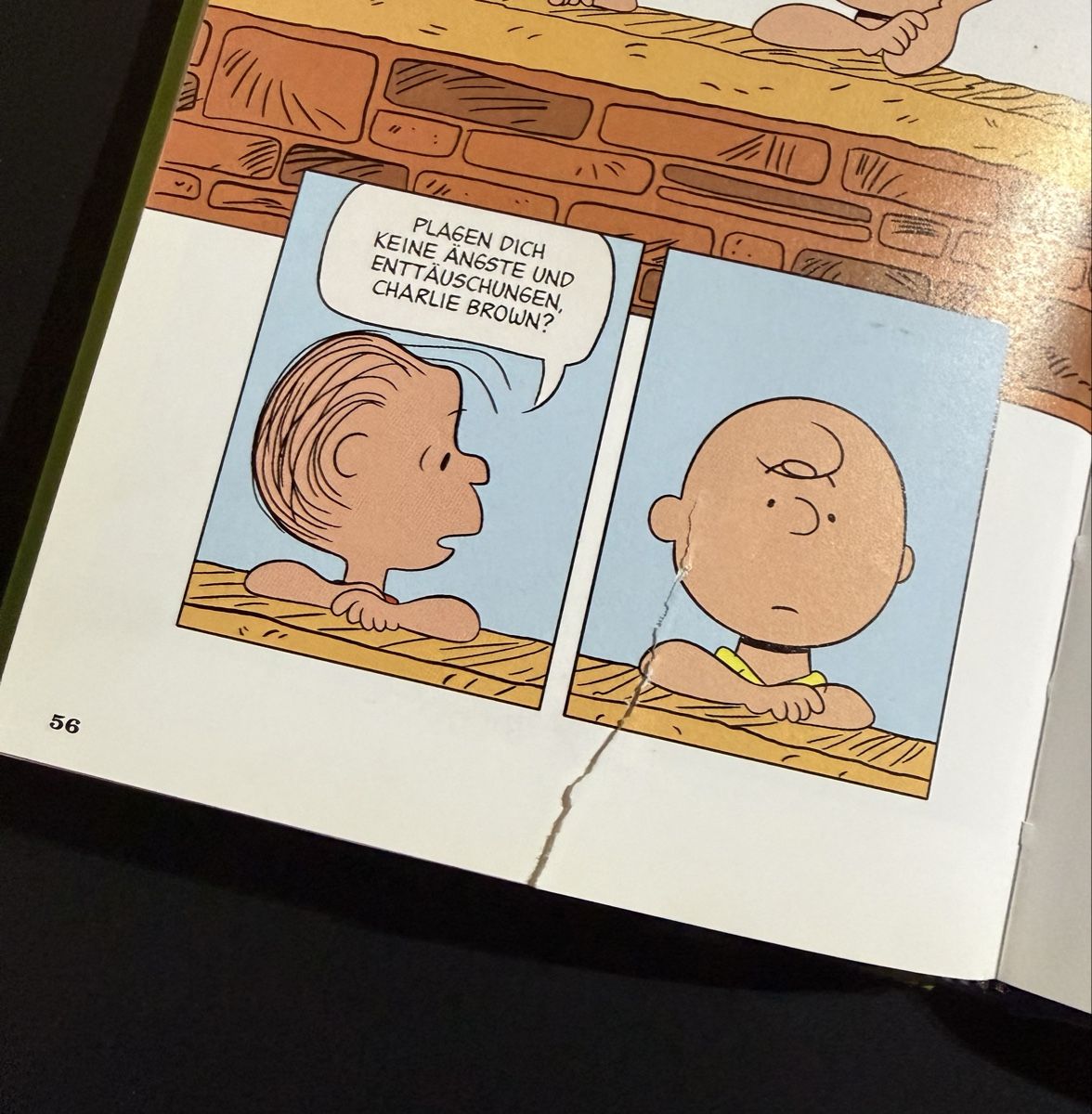 Fumetti: Comic Die Peanuts Das Glück ist eine Schmusedecke – Usato da Thalwil venduto da MB-7 7