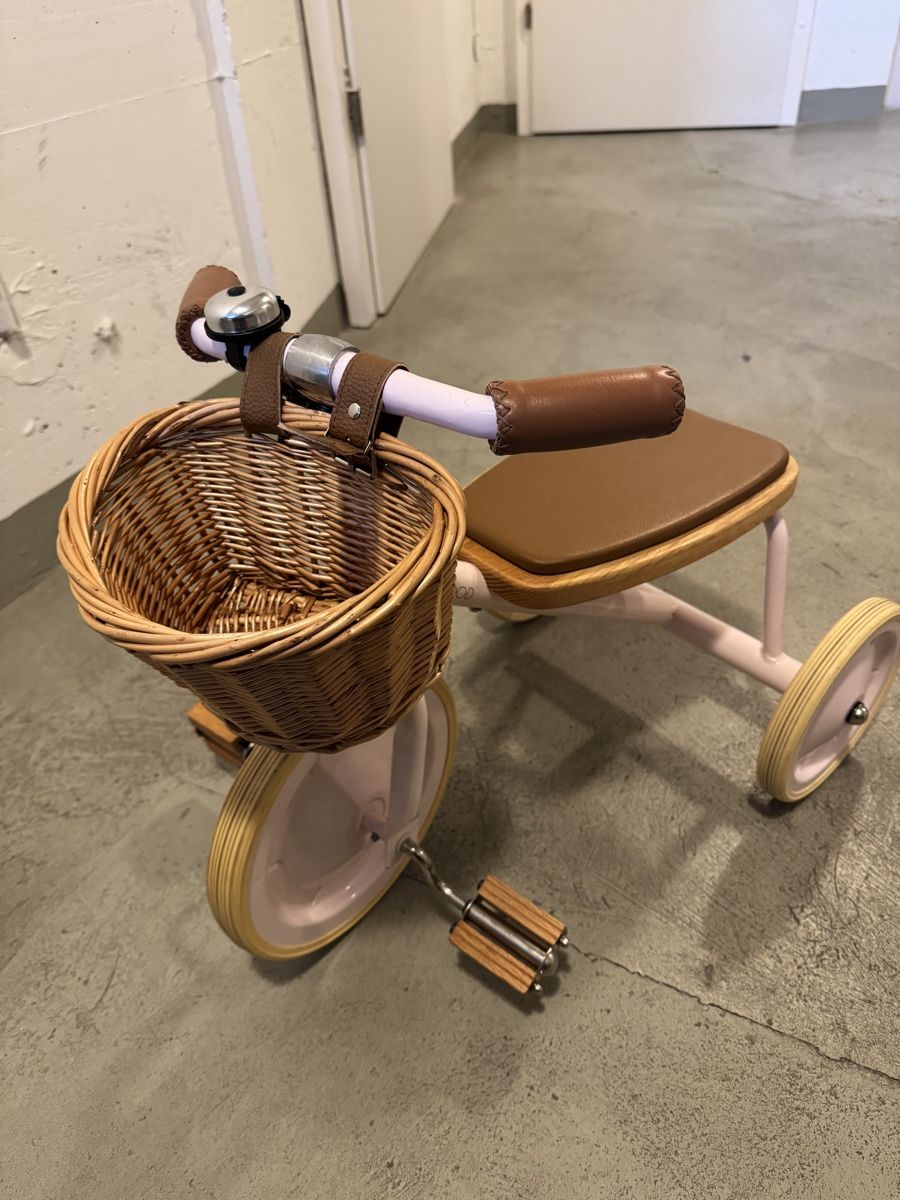 Banwood Veicoli per bambini: Dreirad Banwood – Usato da Basel venduto da Gucci57