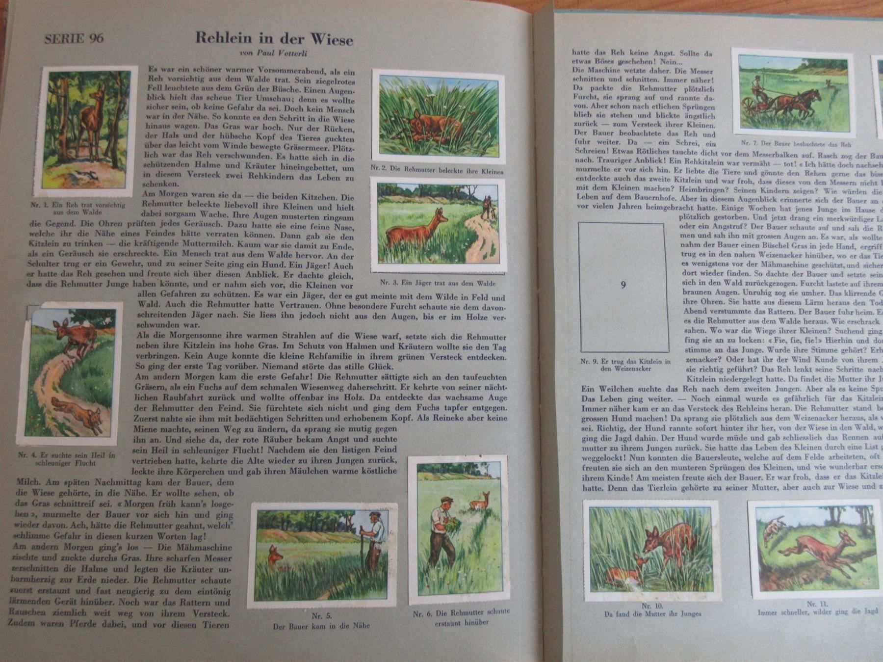 Libri: N.P.C.K. erzählt, Band 4, 1942 – Usato da Binningen venduto da mondoantico 6