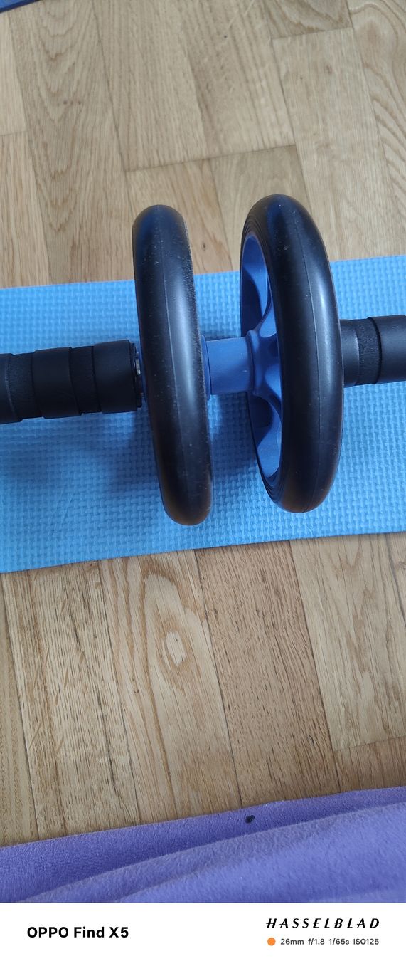 Hometrainer: Abs Roller Super Effektiv für Sommerfigur – Usato da Unterentfelden venduto da igs_nj72 1