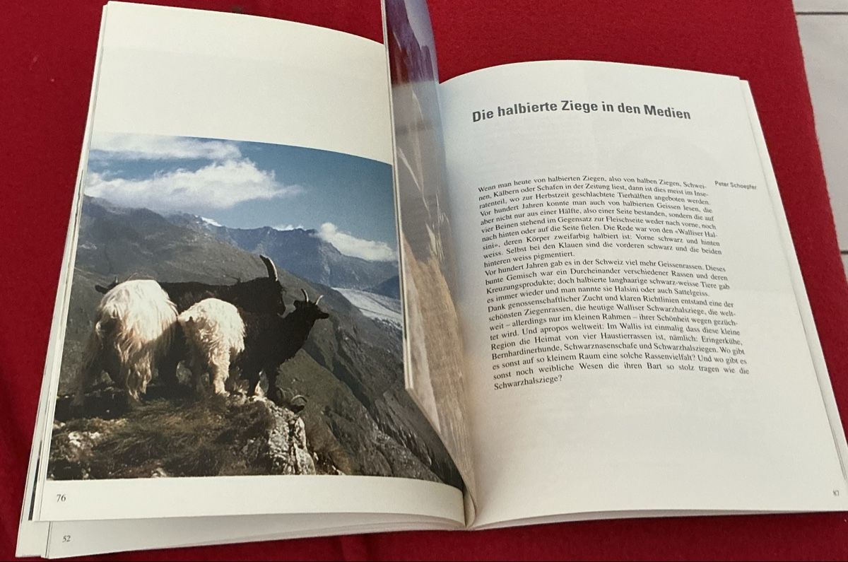 Libri: Walliser Schwarzhalsziegen - Christian Zufferey – Usato da Crans-Montana venduto da plainemorte 6