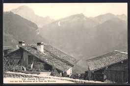 Gryon, Chalets a Gryon, vue sur les Muve