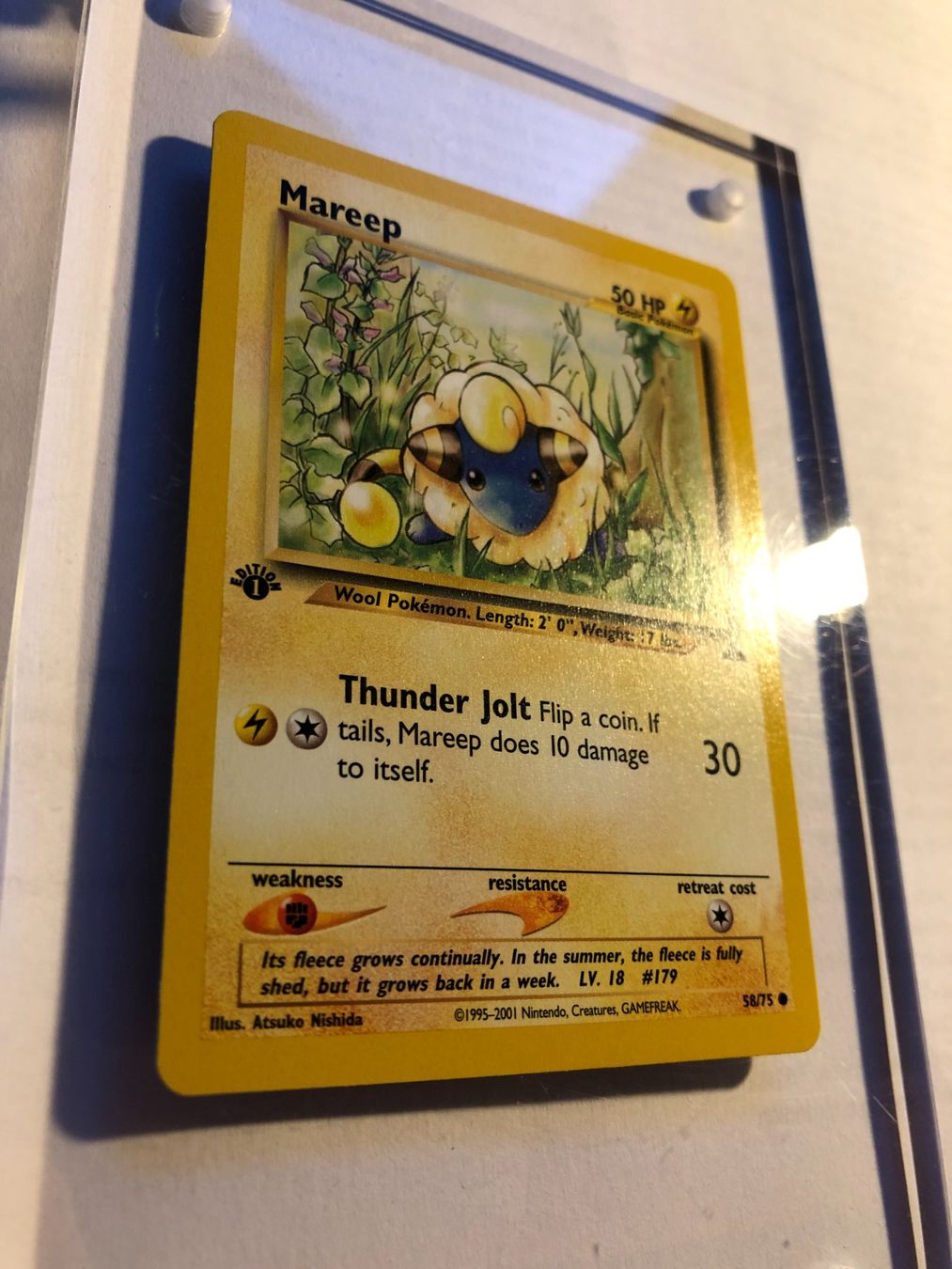 Carte collezionabili: Mareep 1st Neo Discovery - MINT - ab 1.- – Usato da Giubiasco venduto da dan_pr8b 1
