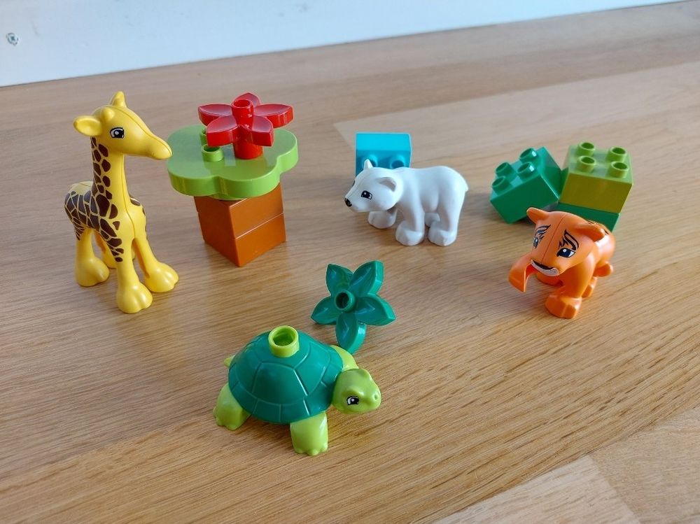Duplo Jouets: LEGO Duplo 10801 Jungtiere (Zoo Tiere) – D'occasion à Balterswil par Steineparadies 3