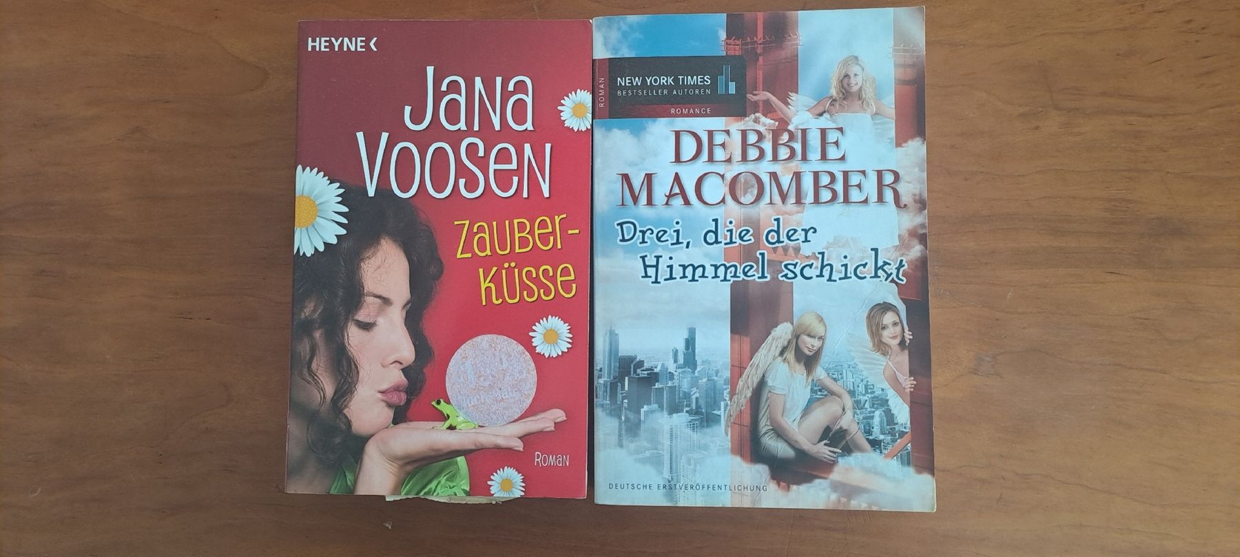 Livres: 2 Romane – D'occasion à Neuenkirch par domsalat7