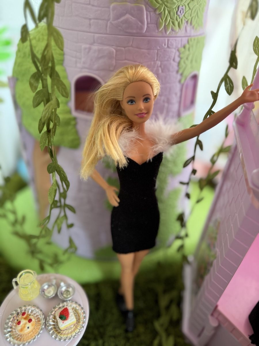 Puppen: Barbie - Lot 5 – Gebraucht aus Ecublens VD von charliecinquillo 1