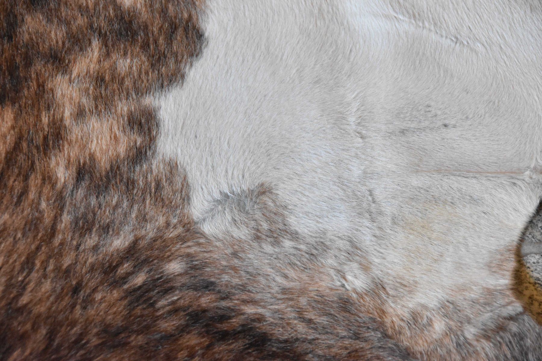 Il mondo degli animali: Peau de vache Ethno – Usato da Vaulion venduto da sambigben 5