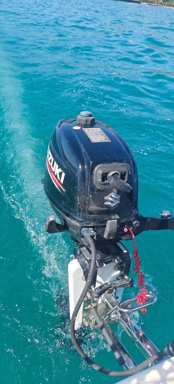 Suzuki Motori: Moteur hors-bord SUZUKI DF6A – Usato da Pully venduto da DidierDubois 5
