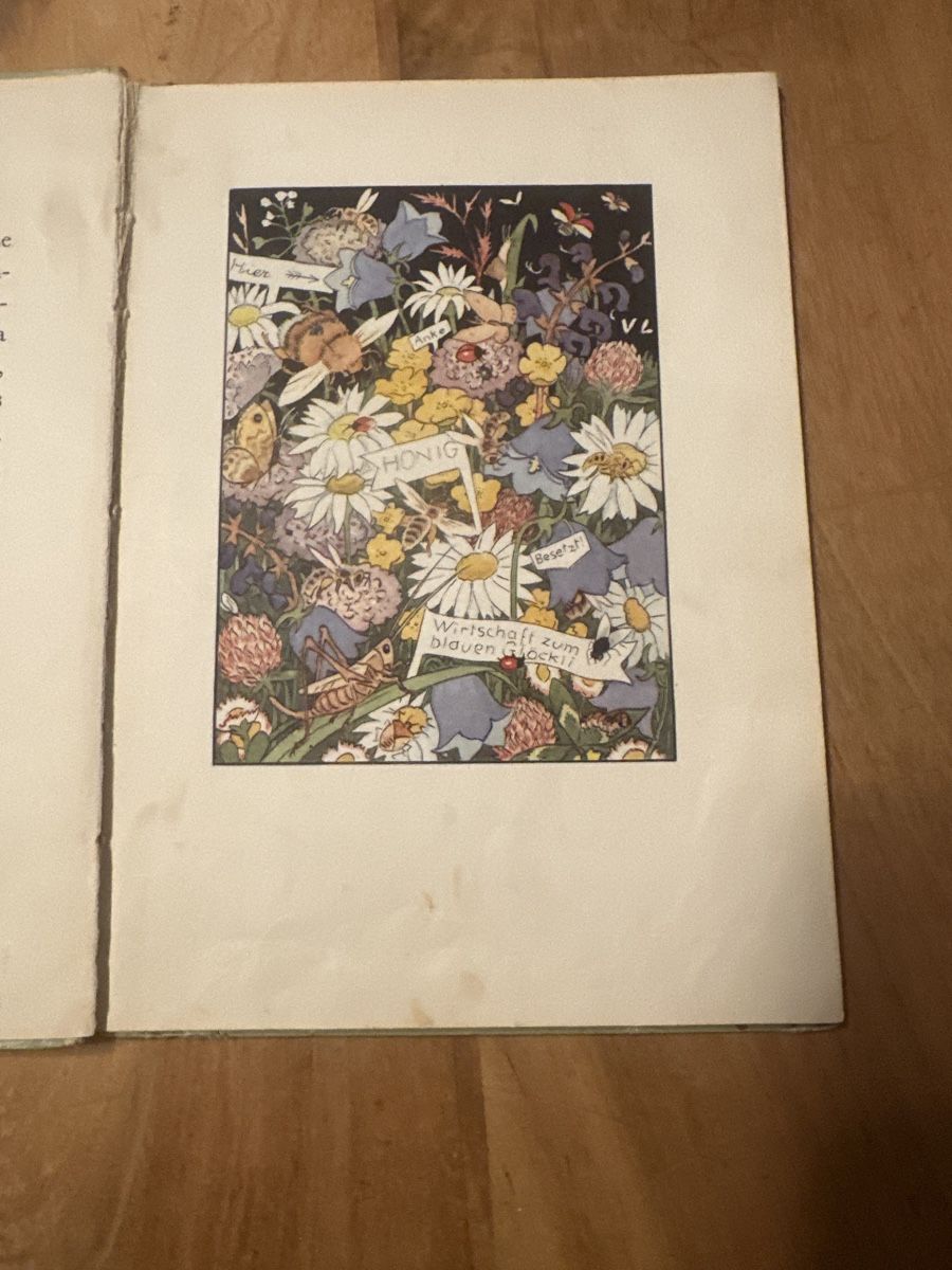 Bücher: Silvelis Wunderlämpchen, Kinderbuch von 1941 – Gebraucht aus Frauenfeld von aluma14 3