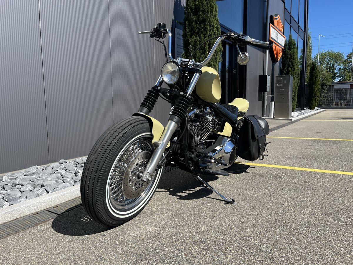 Harley-Davidson Chopper: Harley Evo Softail – Usato da Maur venduto da EvoPit 4