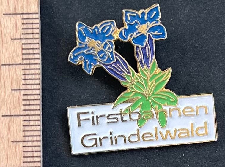 Swiss Placchette & Badge: Enzian Firstbahnen Grindelwald/ Pin – Usato da Wabern venduto da DaxKarten-75