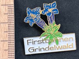 Enzian Firstbahnen Grindelwald/ Pin