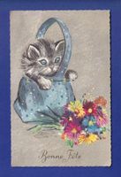 CHAT - Dans le sac et fleurs