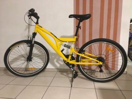 Velo 26”