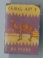 Camel PIN